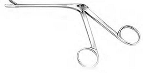 Nasal and Sinus - Nasal Septum (ENT)